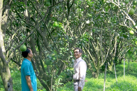 TX Bình Minh đổi mới, phát triển