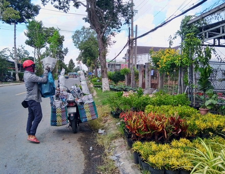 Qua Sa Đéc "đi chợ" hoa kiểng