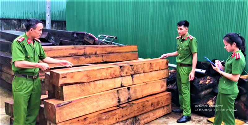 Phát hiện 35 hộp gỗ lậu tập kết trái phép ở khe suối
