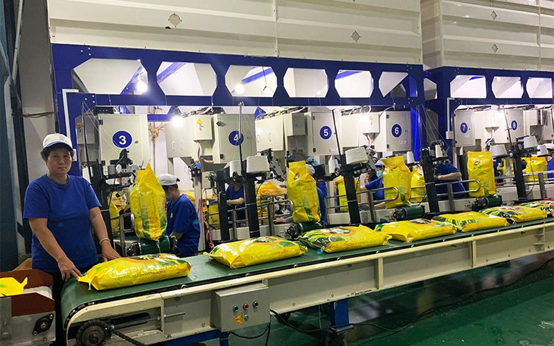 Hỗ trợ doanh nghiệp xuất khẩu gạo vào EU