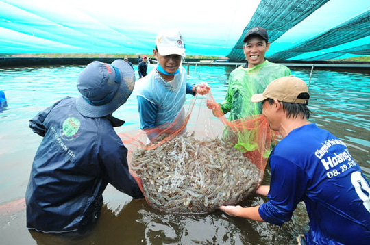 Quy hoạch ĐBSCL thành 3 vùng