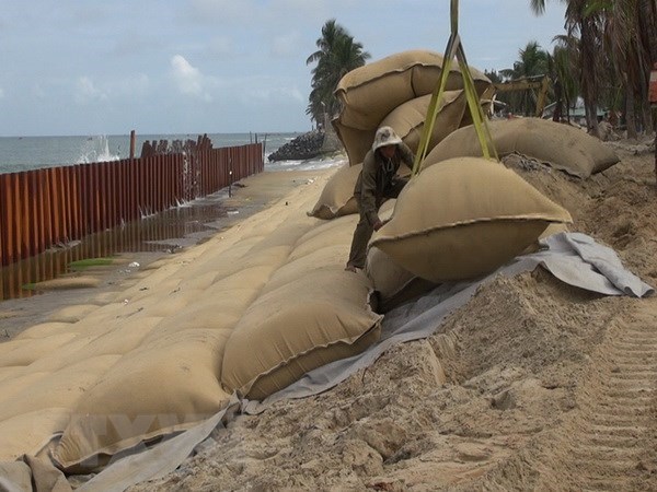 Long An: Hơn 300 tỷ đồng xây dựng bờ kè dọc sông Vàm Cỏ Tây