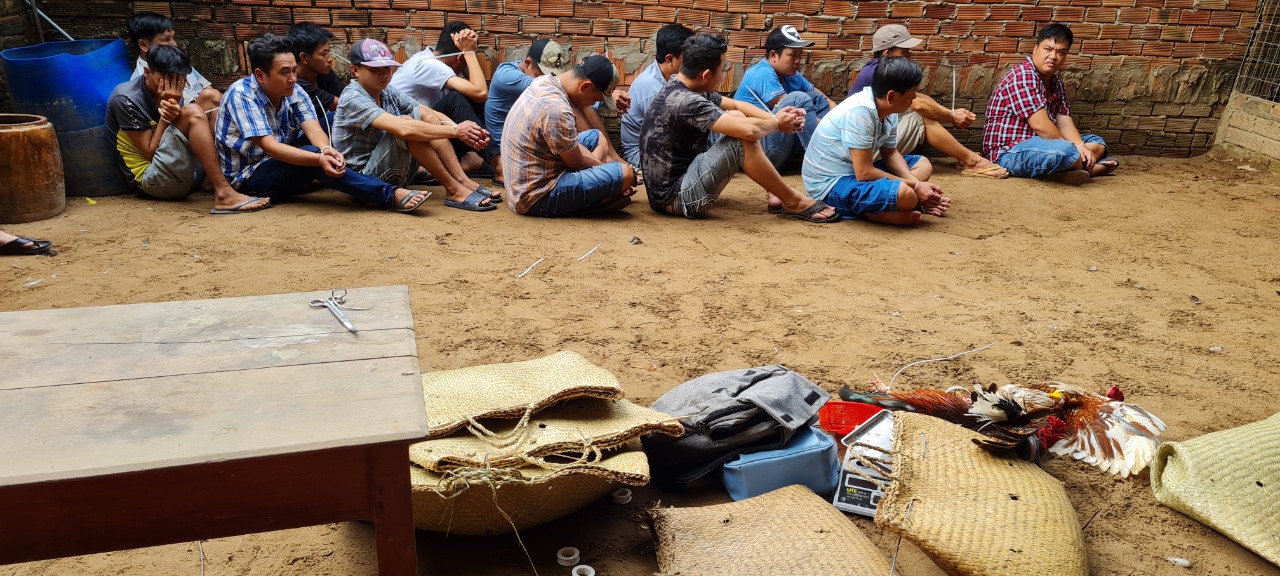 Cần Thơ: Triệt phá điểm đá gà tại phường An Bình