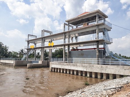 Vĩnh Long: Chuẩn bị đối phó hạn hán, xâm nhập mặn gay gắt