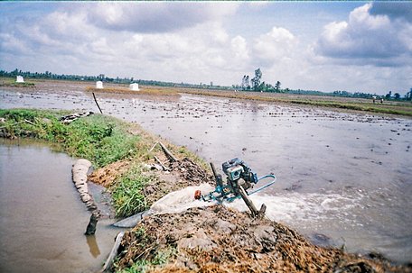 Vĩnh Long: Chuẩn bị đối phó hạn hán, xâm nhập mặn gay gắt