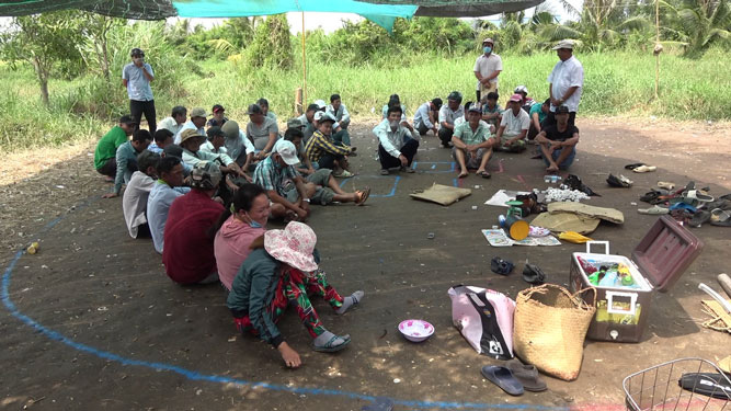 Dẹp loạn trường gà!