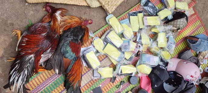 Kiên Giang: Nghe la “có công an”, nhiều con bạc nhảy xuống sông tẩu thoát