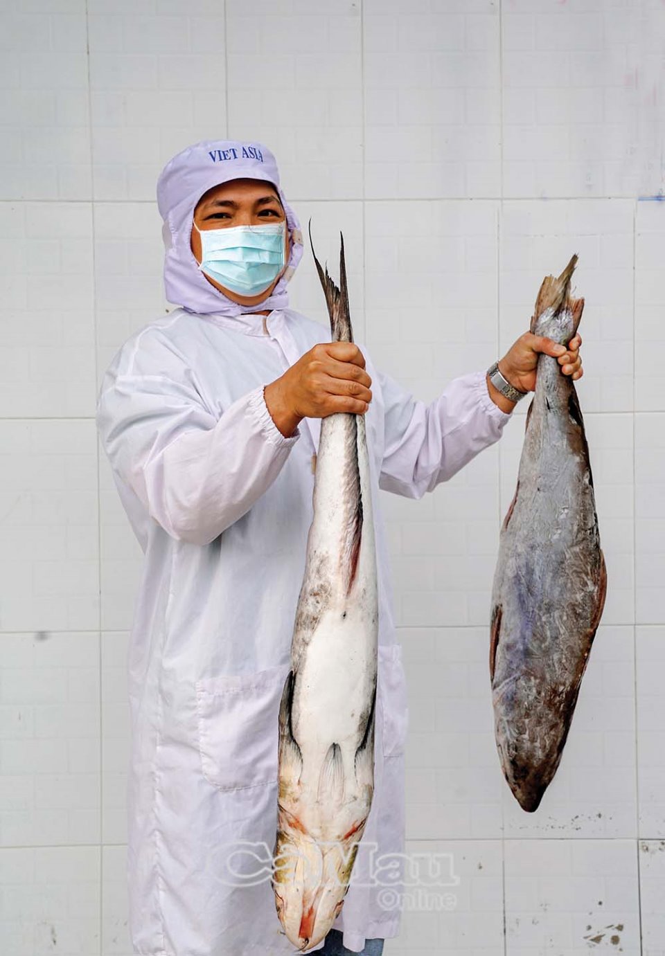 Chuyến biển đầu năm