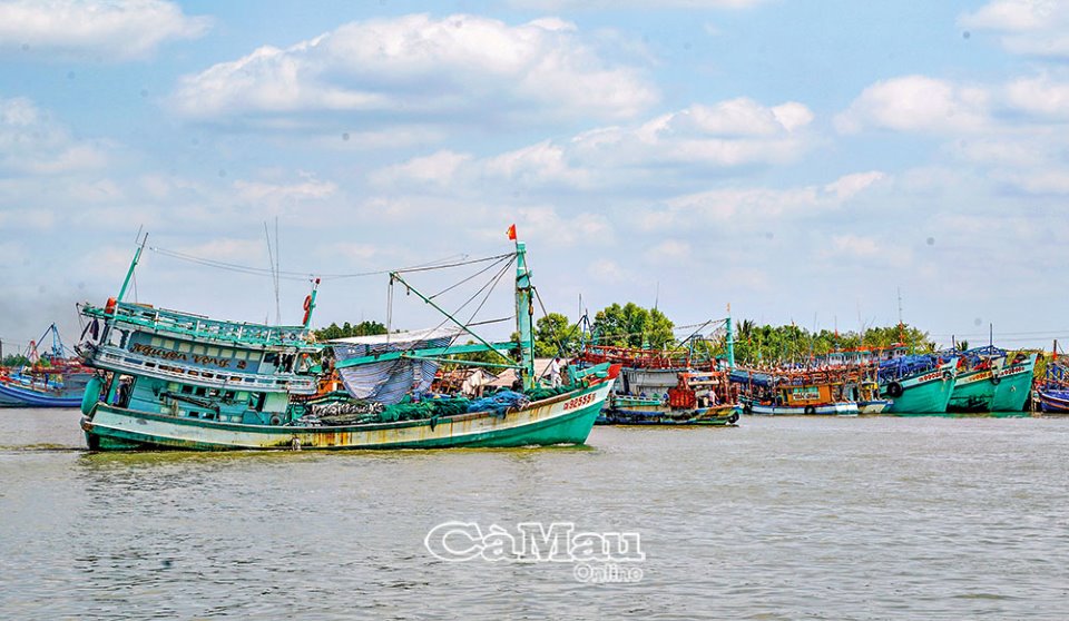 Chuyến biển đầu năm