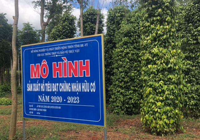 Chỉ làm việc này, giá một loại nông sản của Việt Nam đã tăng 44,6%, Mỹ - Trung Quốc đều thích mua