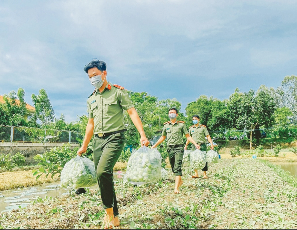 Huyện cù lao hỗ trợ tiêu thụ nông sản