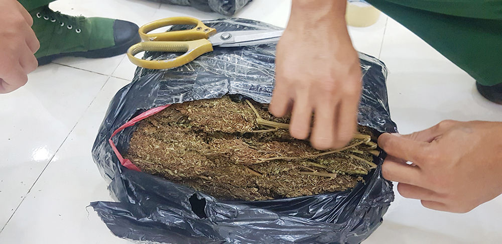 Bộ đội Biên phòng An Giang liên tiếp bắt 2 vụ vận chuyển 40kg cần sa