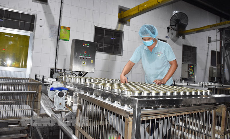 Bến Tre: Định hướng phát triển kinh tế - xã hội của tỉnh năm 2022