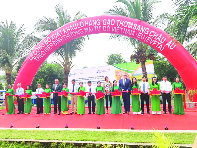 Một nông sản thế mạnh của Việt Nam tỏa hương thơm ngát ở trời Âu