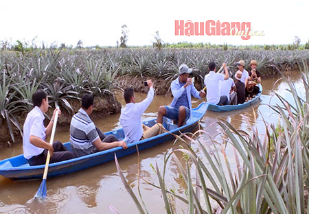 Hậu Giang: Thành phố Vị Thanh tiềm năng, cơ hội và phát triển