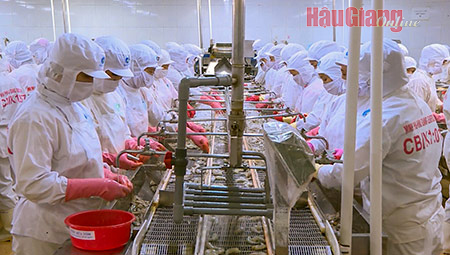 Hậu Giang: Kêu gọi thu hút đầu tư 53 dự án