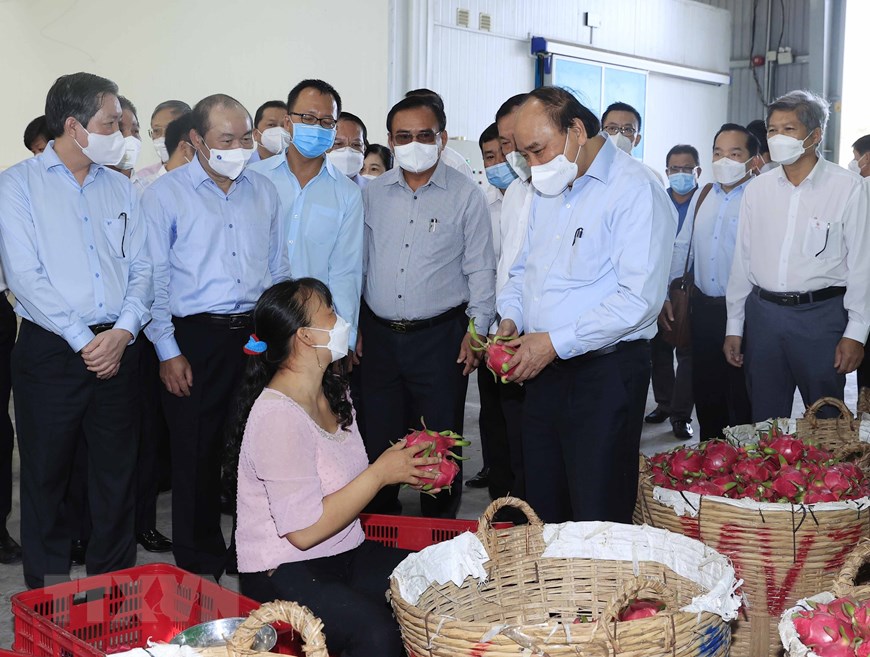 Chủ tịch nước thăm một số hợp tác xã tiêu biểu ở Tiền Giang