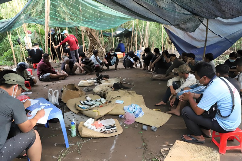 Hậu Giang: Triệt phá điểm đá gà ăn tiền trong vườn tràm, tạm giữ hơn 150 triệu đồng
