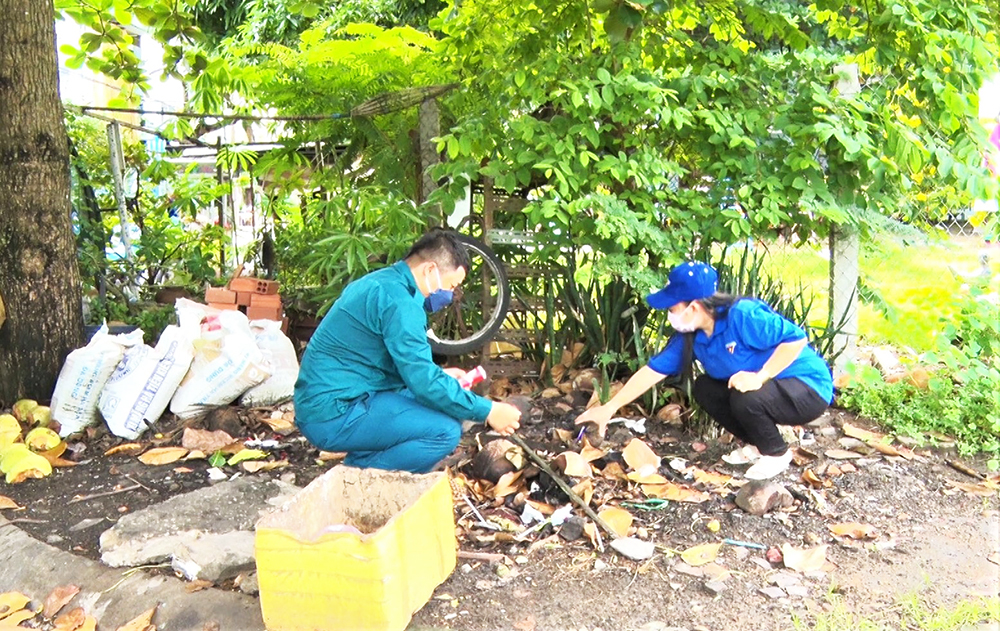 TP. Châu Đốc ra quân diệt lăng quăng, phòng, chống sốt xuất huyết