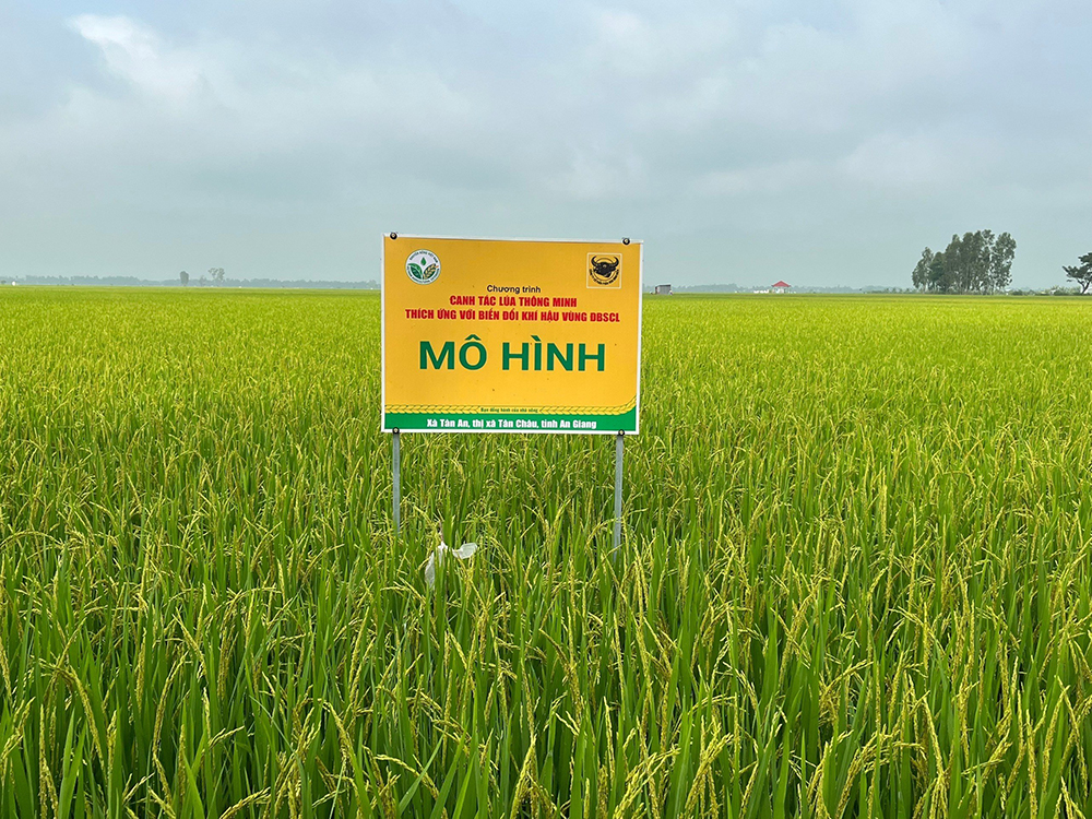 Phân bón Đầu Trâu - Tăng cường nhận thức về môi trường và khuyến khích hành động để bảo vệ hành tinh xanh