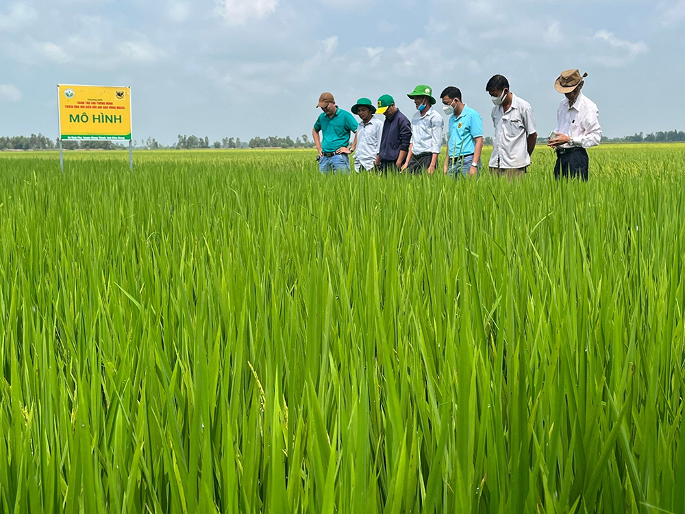 Phân bón Đầu Trâu - Tăng cường nhận thức về môi trường và khuyến khích hành động để bảo vệ hành tinh xanh