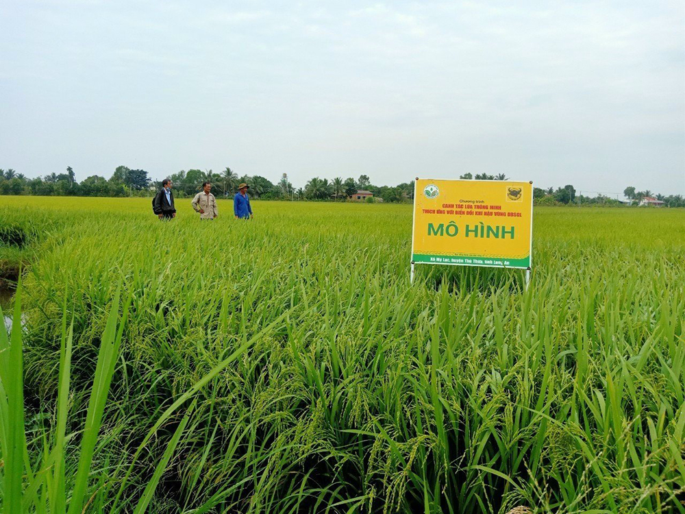 Phân bón Đầu Trâu - Tăng cường nhận thức về môi trường và khuyến khích hành động để bảo vệ hành tinh xanh
