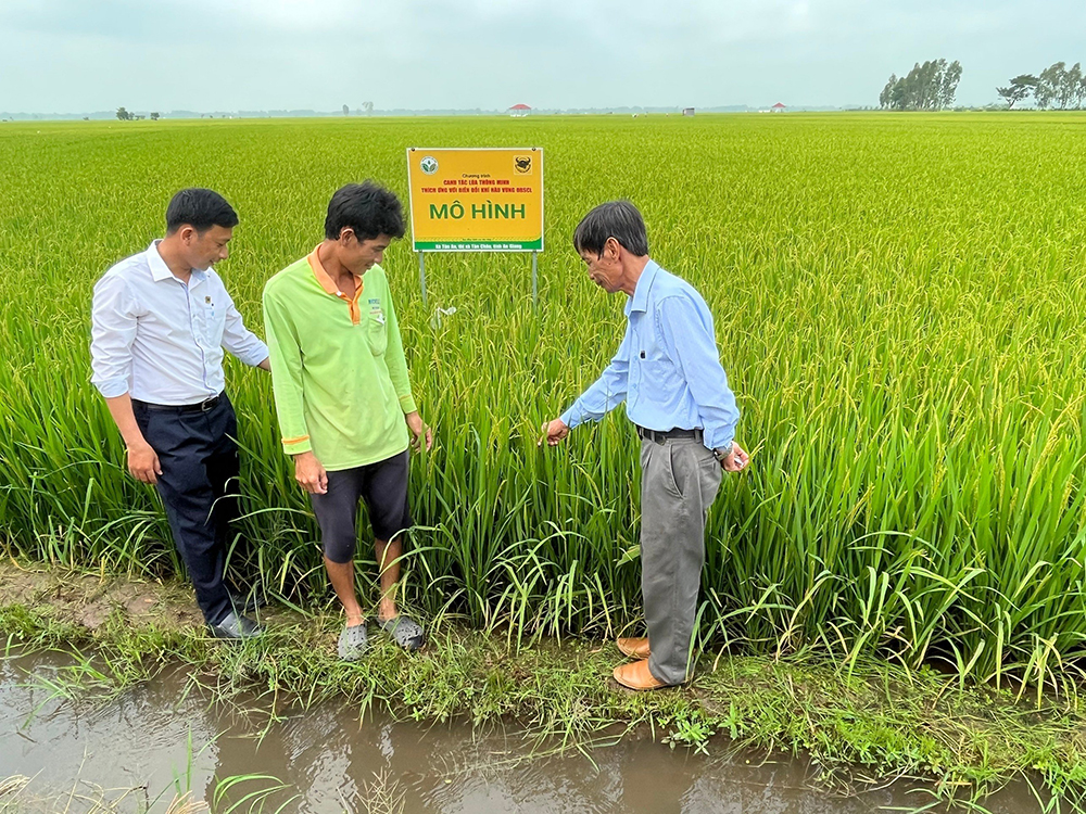 Phân bón Đầu Trâu - Tăng cường nhận thức về môi trường và khuyến khích hành động để bảo vệ hành tinh xanh