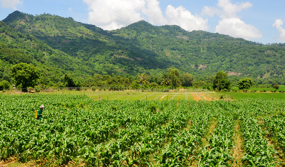 Bảy Núi mùa mưa