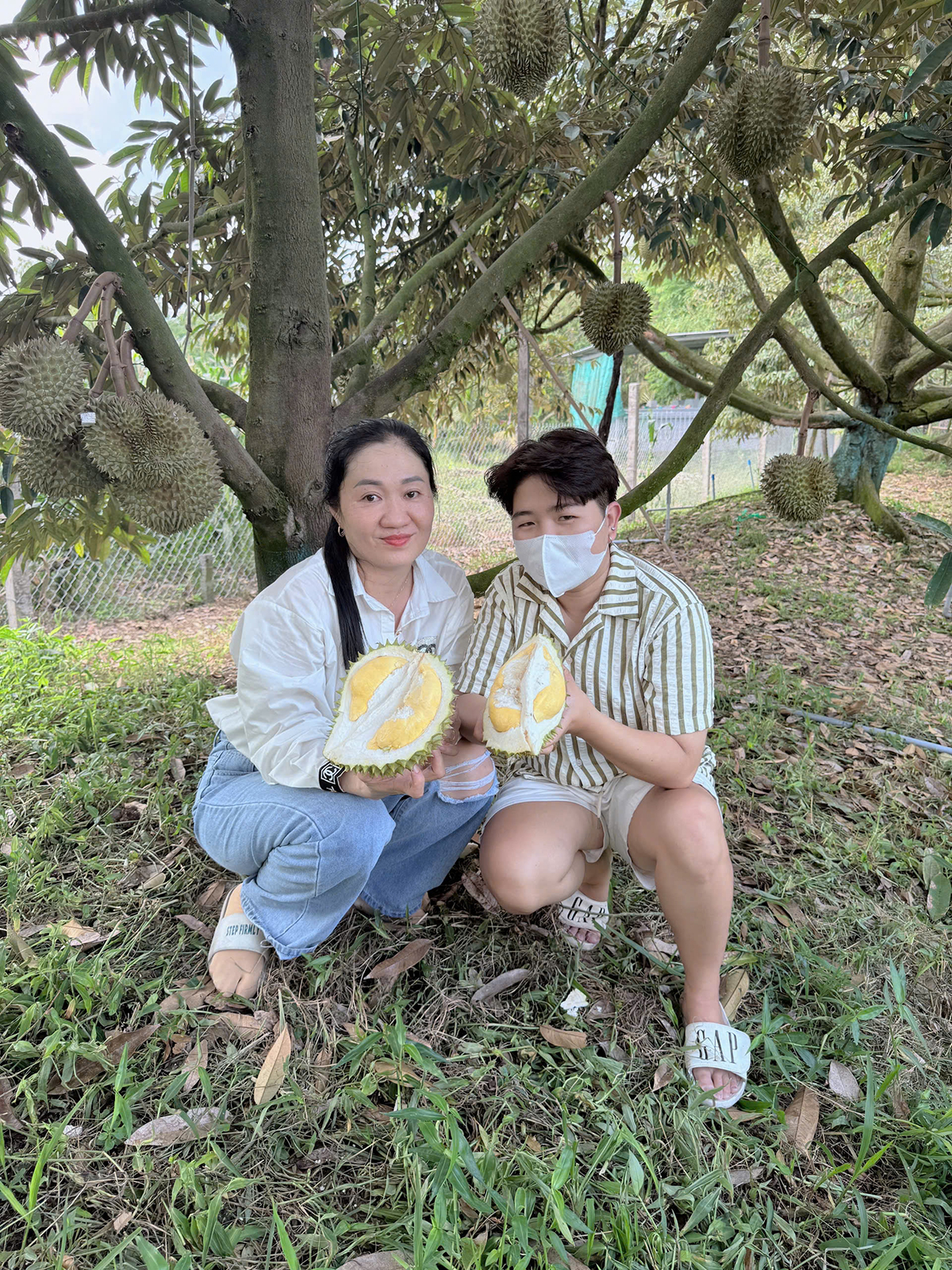 Thăm vườn sầu riêng, nghe chuyện nhà nông