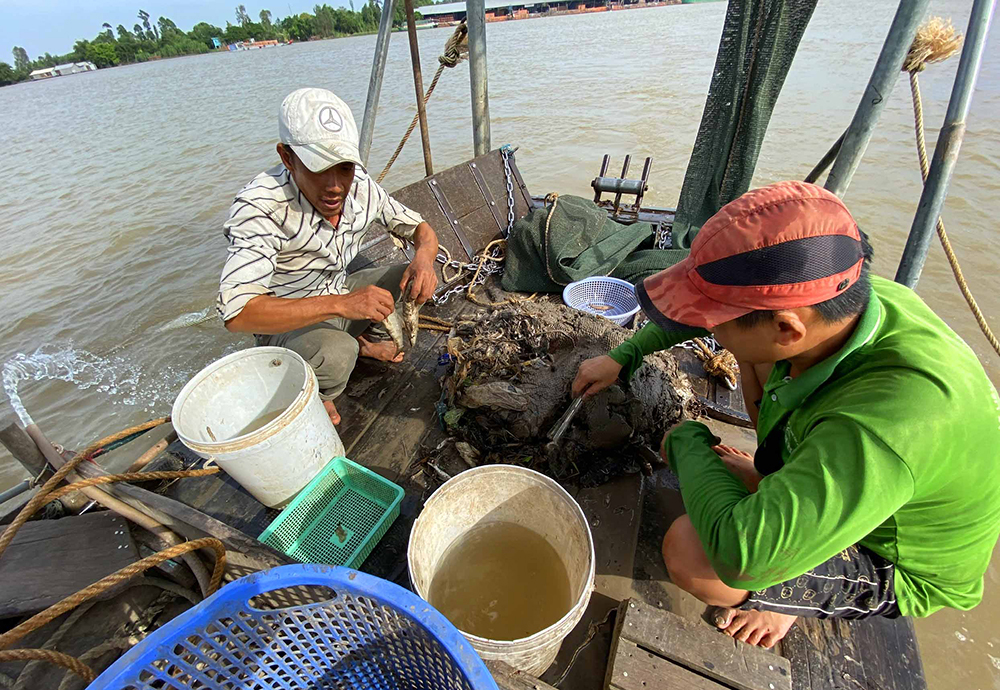 Xóm cào ven sông Hậu