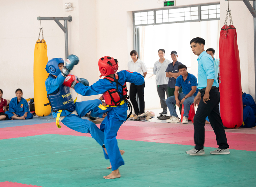 Võ thuật Vovinam phát triển