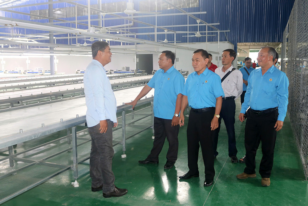 Liên đoàn Lao động tỉnh khảo sát công tác phát triển đoàn viên, thành lập Công đoàn cơ sở doanh nghiệp tại huyện Châu Thành