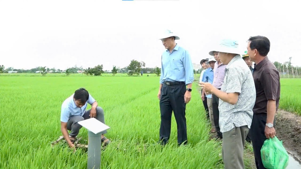 Châu Phú tập trung phát triển nông nghiệp