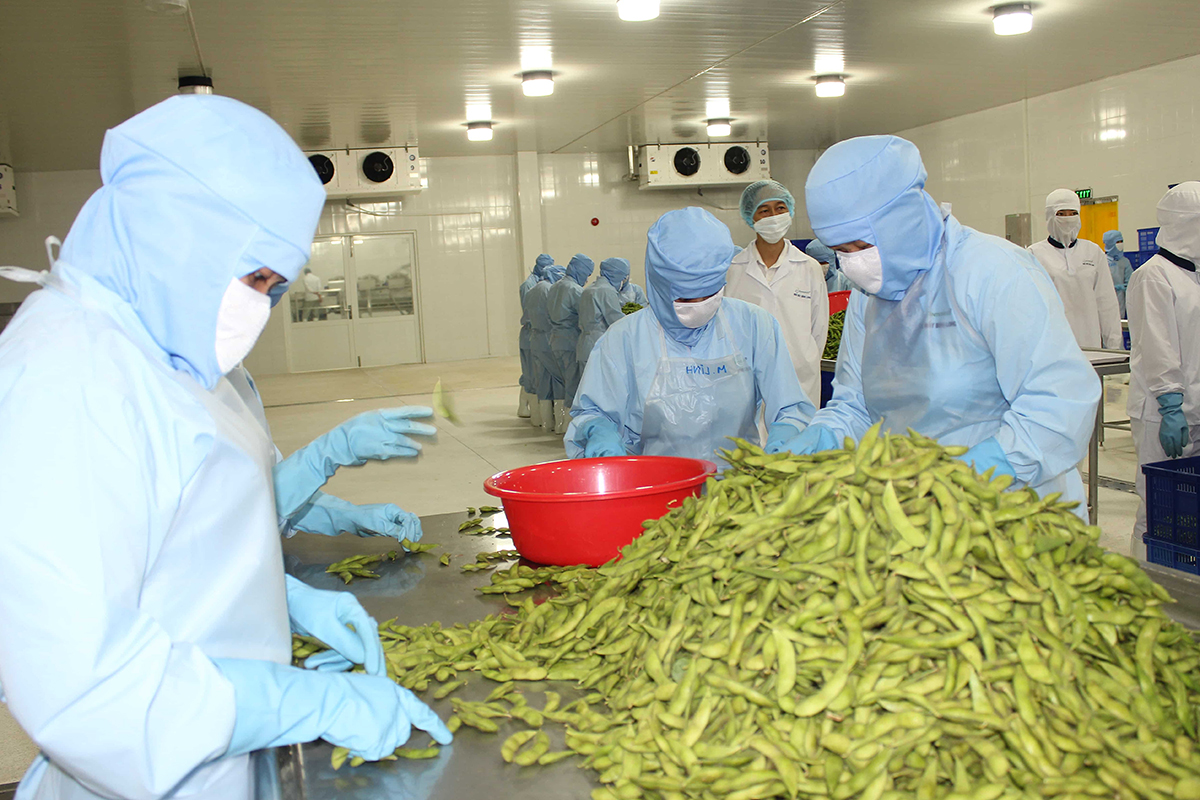 Tìm giải pháp phát triển thị trường, thúc đẩy tăng trưởng