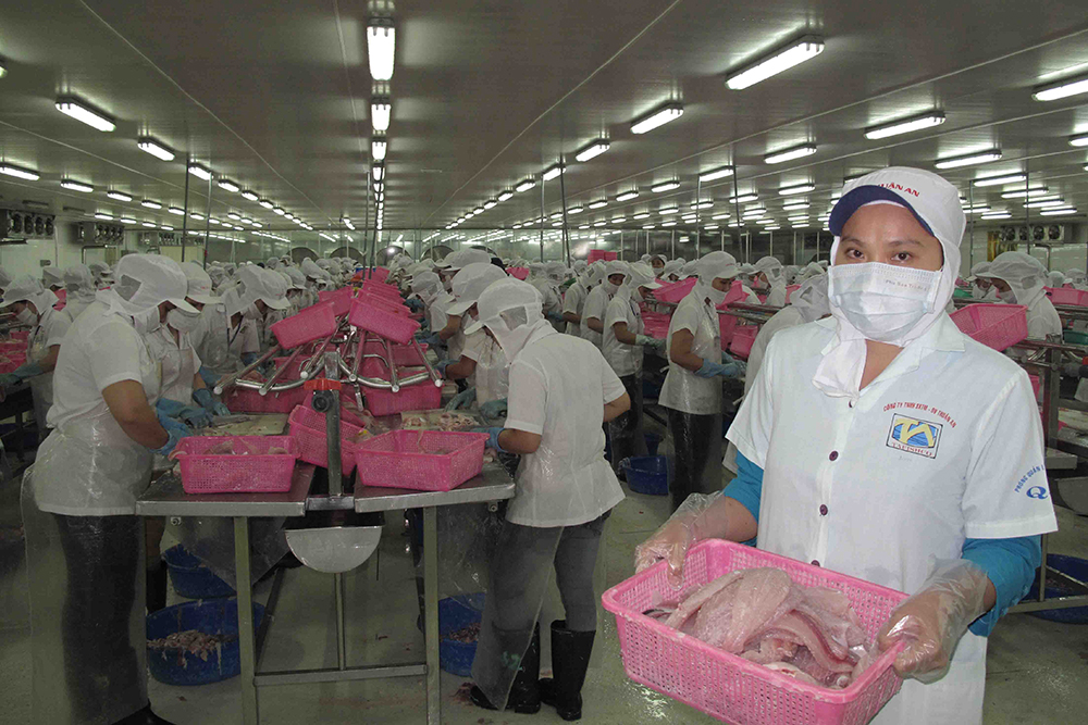 Nâng cao năng lực cạnh tranh của ngành hàng cá tra