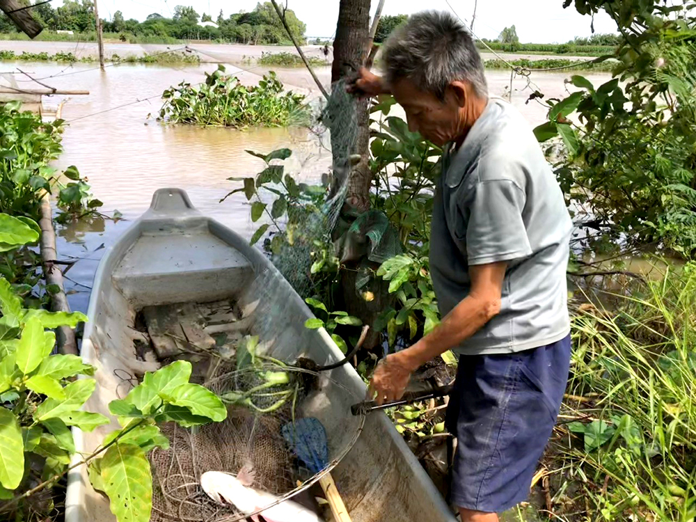 Ngư dân đầu nguồn Phú Hữu khai thác thủy sản mùa lũ