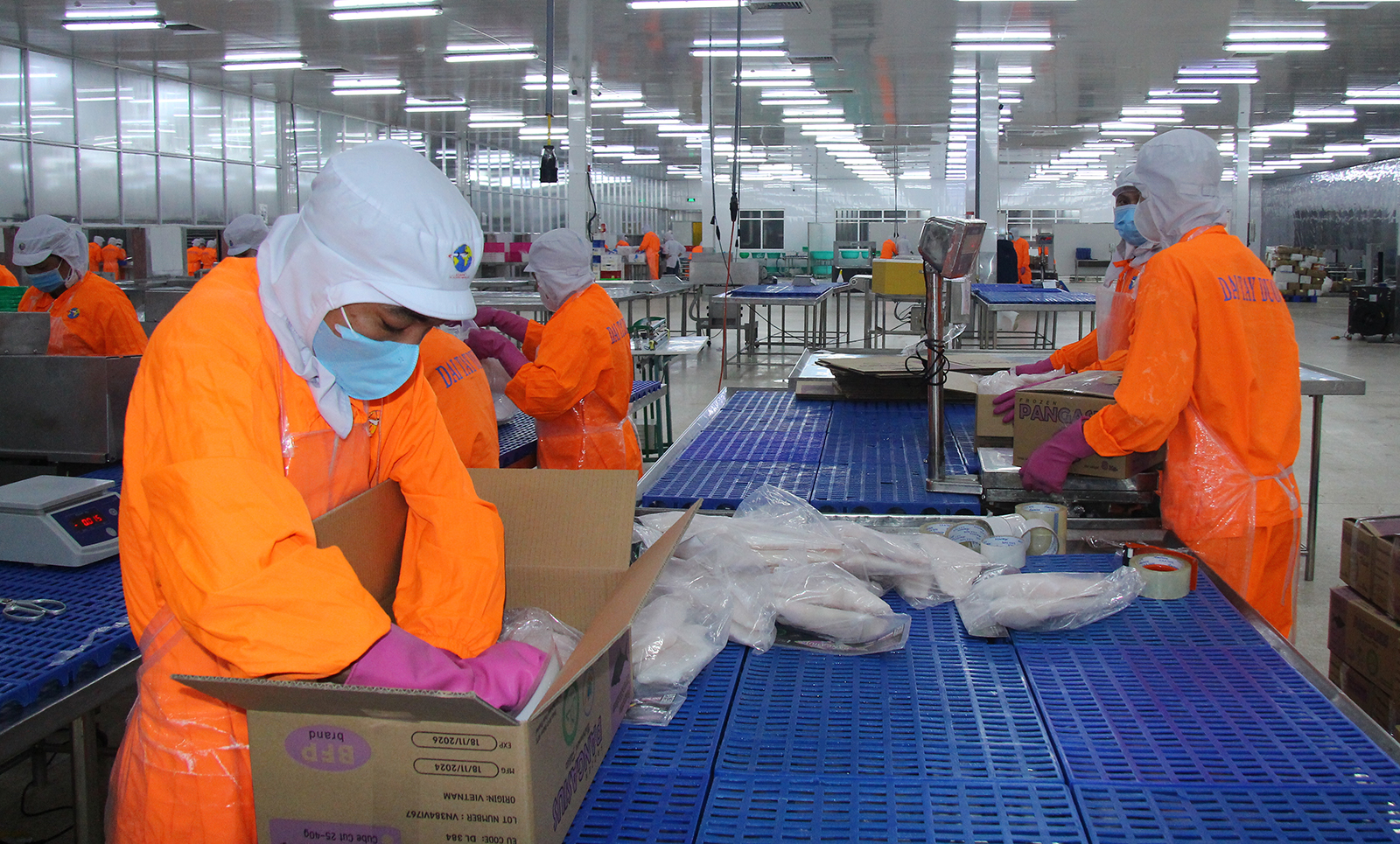 Khai mở tiềm năng để ngành hàng cá tra phát triển