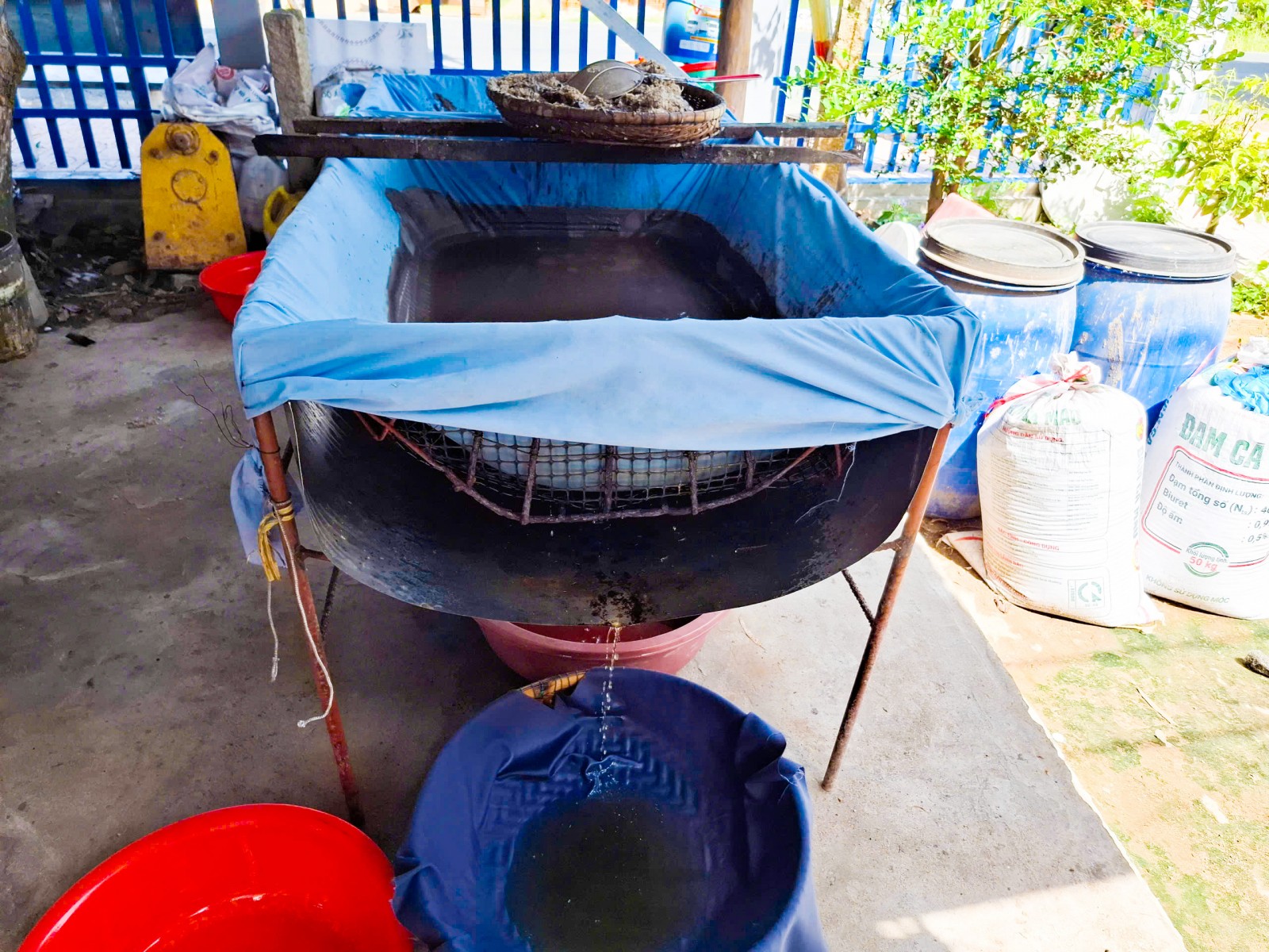 Mặn mòi vị nước mắm đồng