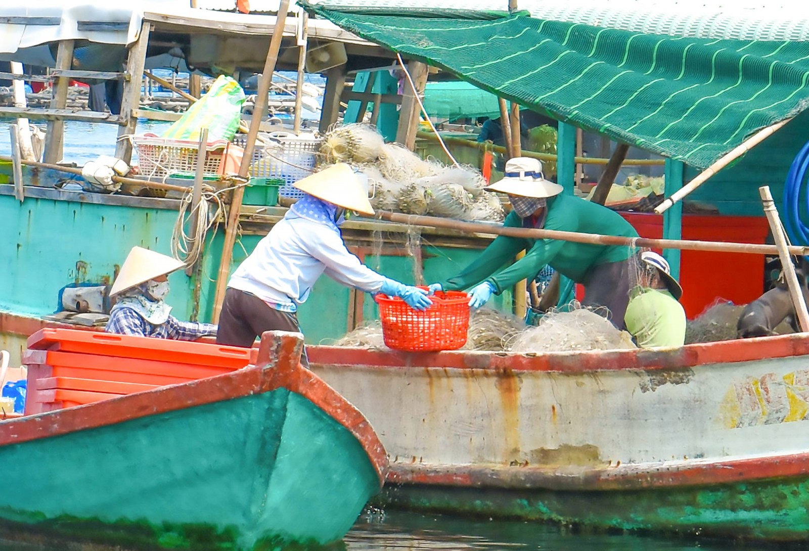 Nghề làm khô ở xứ biển An Giang