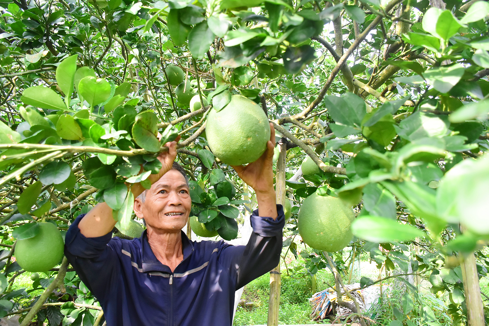 Đồng hành cùng nông dân