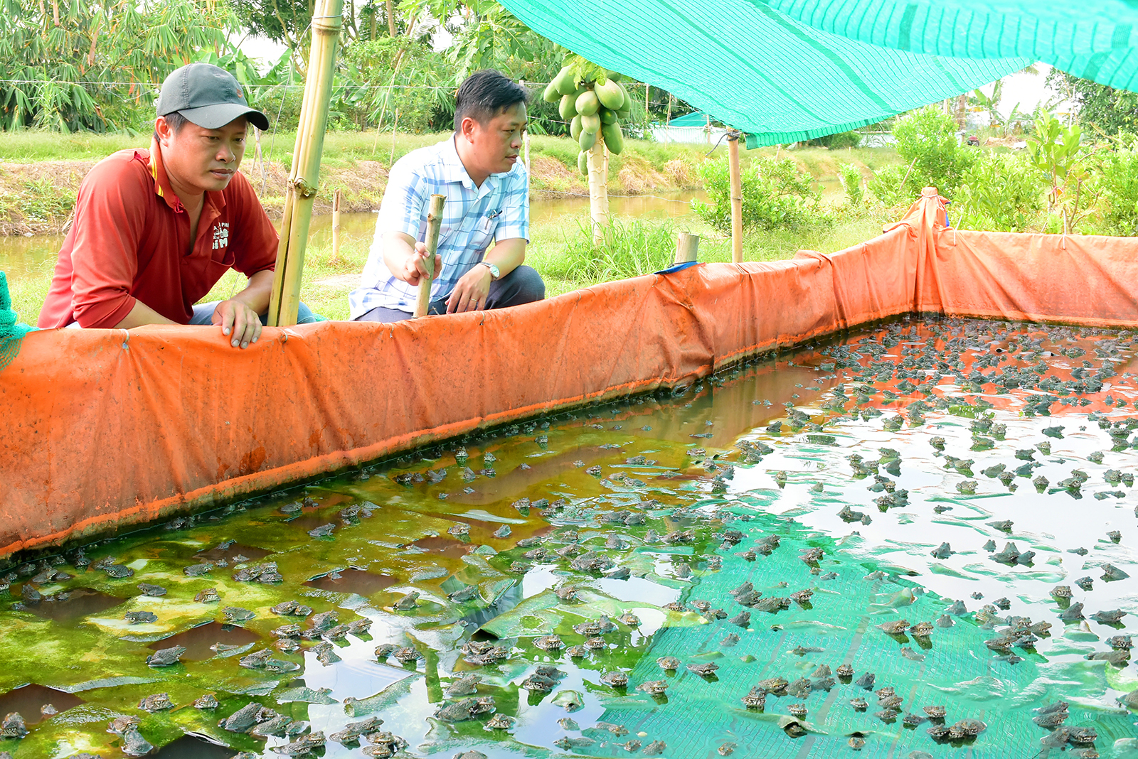 Đồng hành cùng nông dân