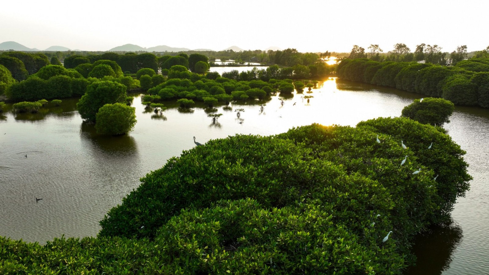 Nức tiếng tôm khô phường Tô Châu
