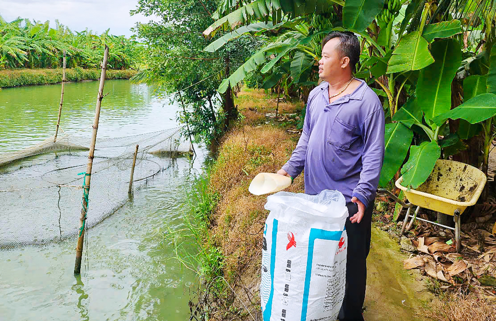 Từ chiến hào ra đồng ruộng