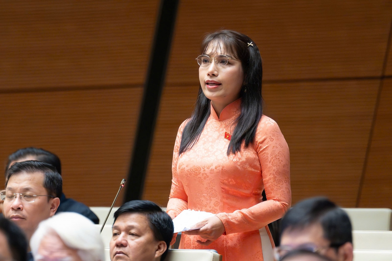 Đại biểu Quốc hội tỉnh An Giang đóng góp phát triển kinh tế - xã hội