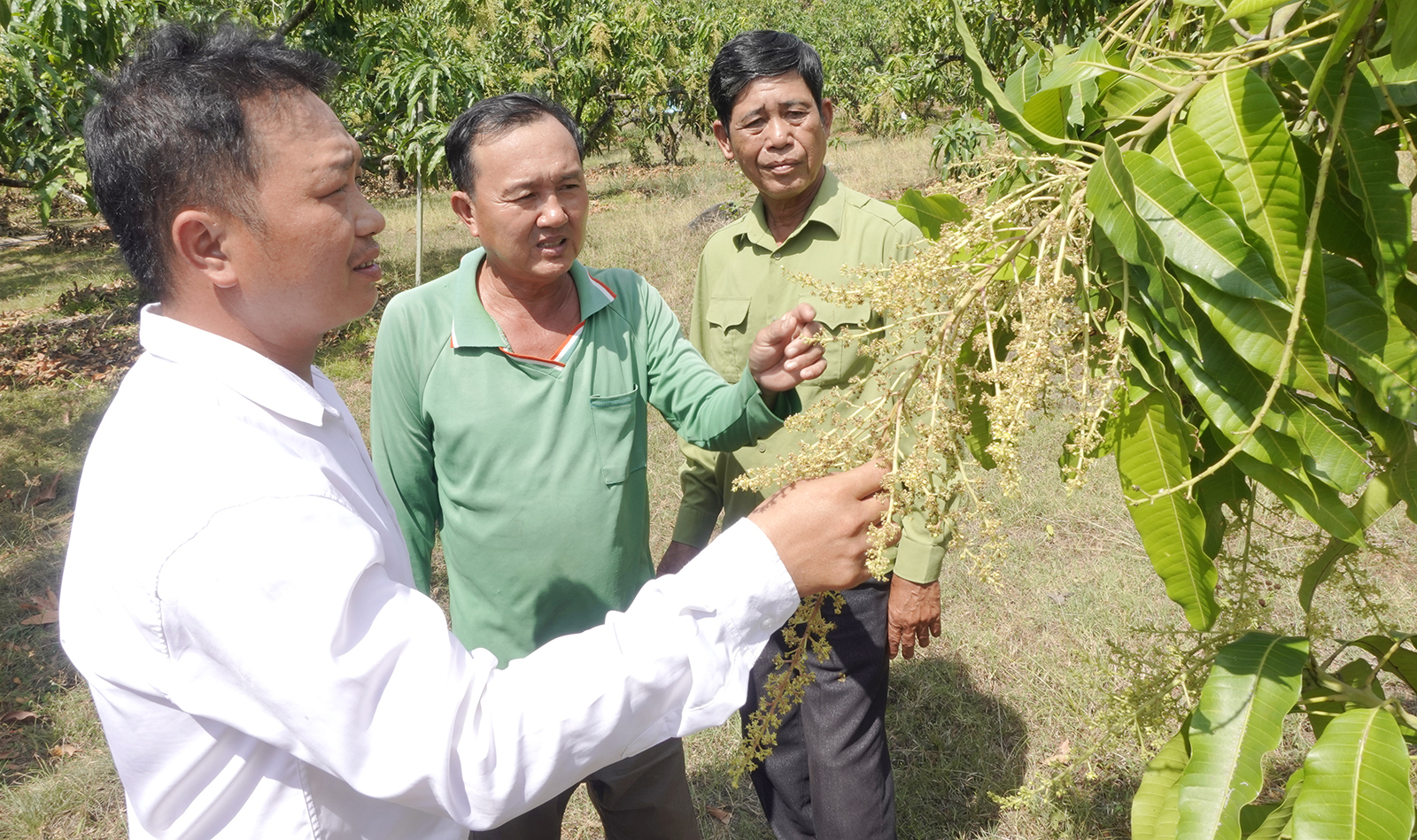 Từ chiến hào ra đồng ruộng