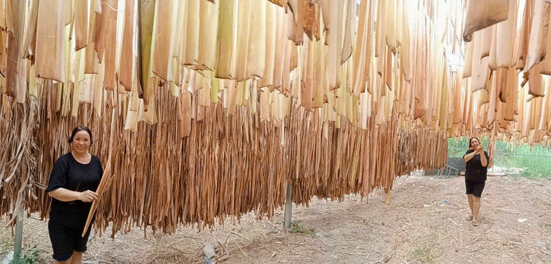 Hỗ trợ mô hình nông nghiệp xanh, hướng tới xuất khẩu và phục vụ APEC 2027 tại An Giang