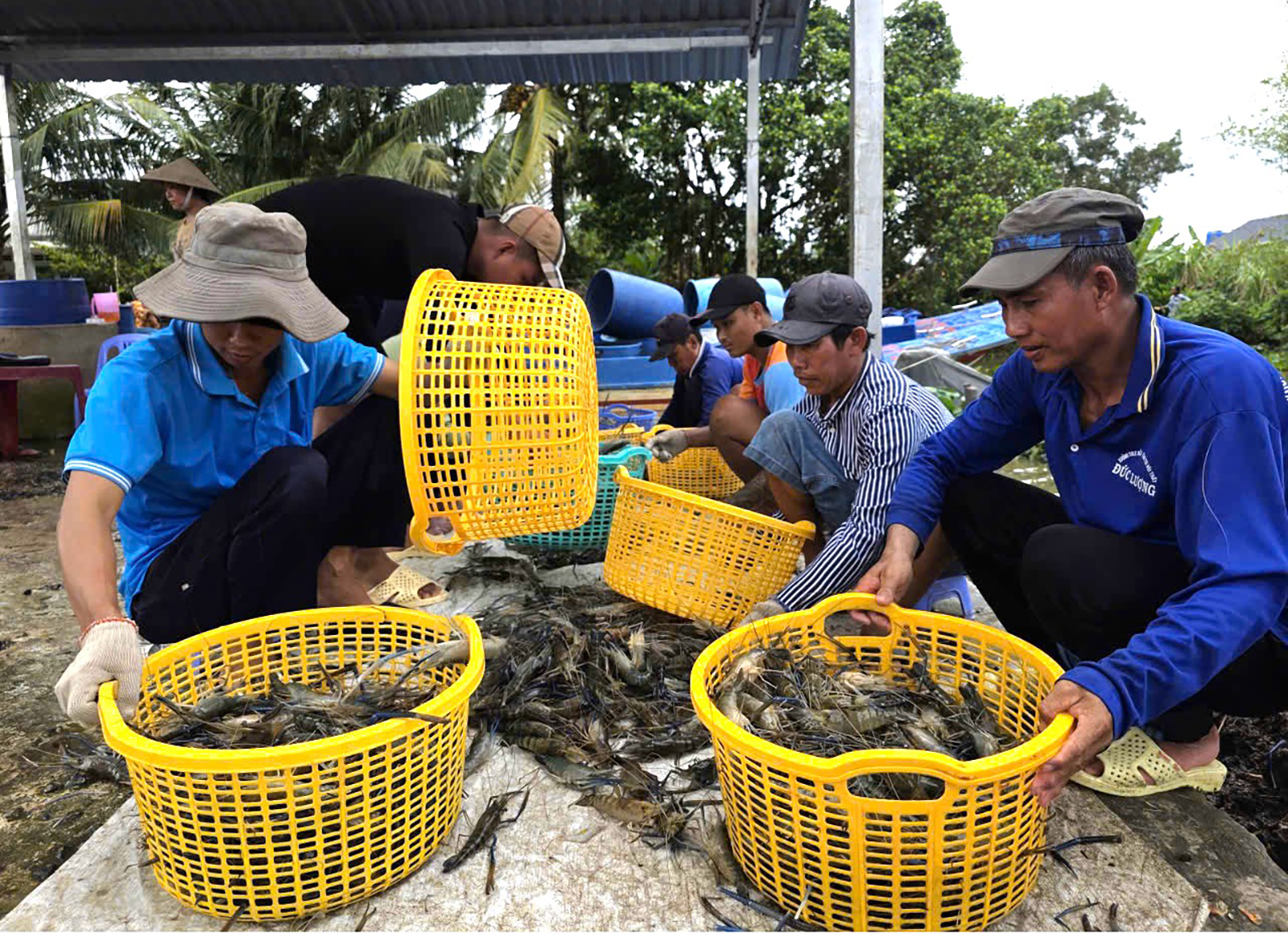 Nghề tay trái lúc nông nhàn