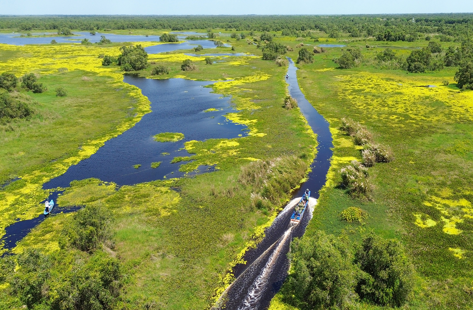 Cứu hộ động vật quý hiếm ở Vườn quốc gia U Minh Thượng