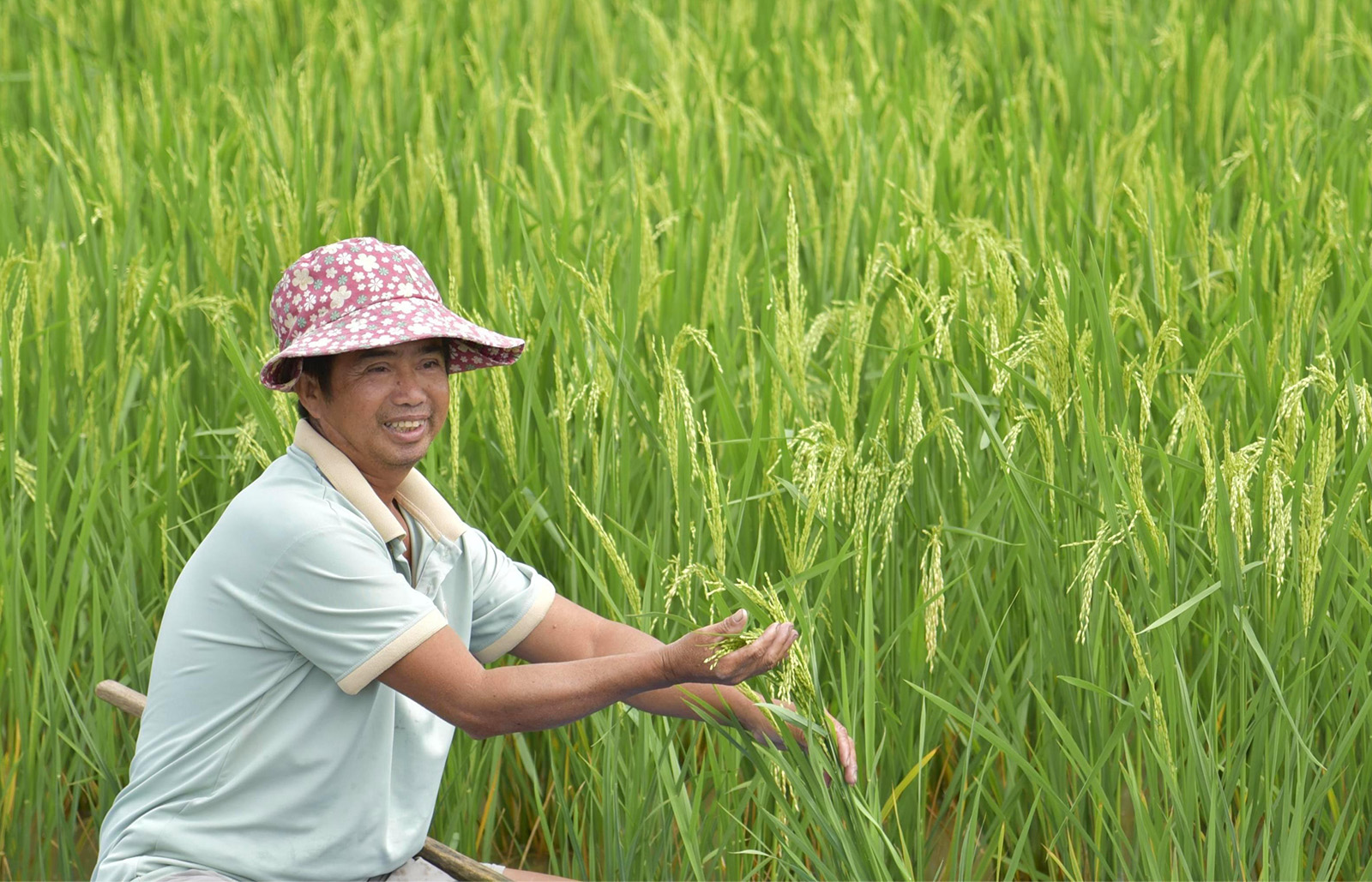 Bội thu nhờ nuôi tôm, cua trên ruộng lúa mùa