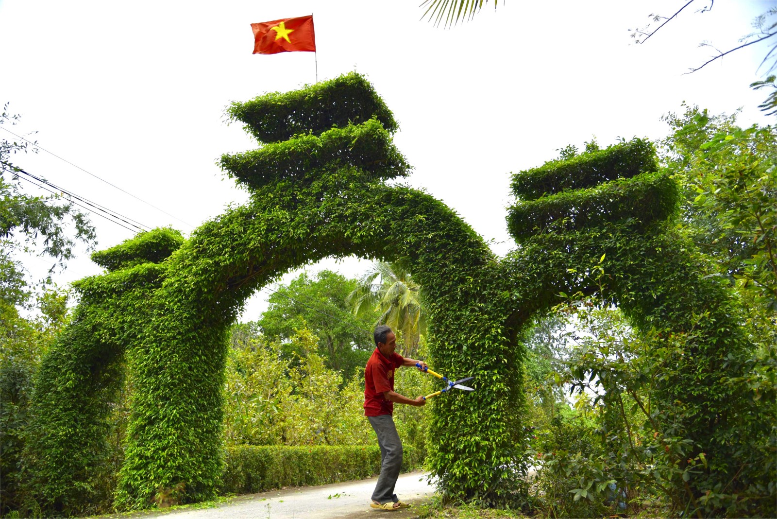 Người “kể chuyện” bằng cây lá